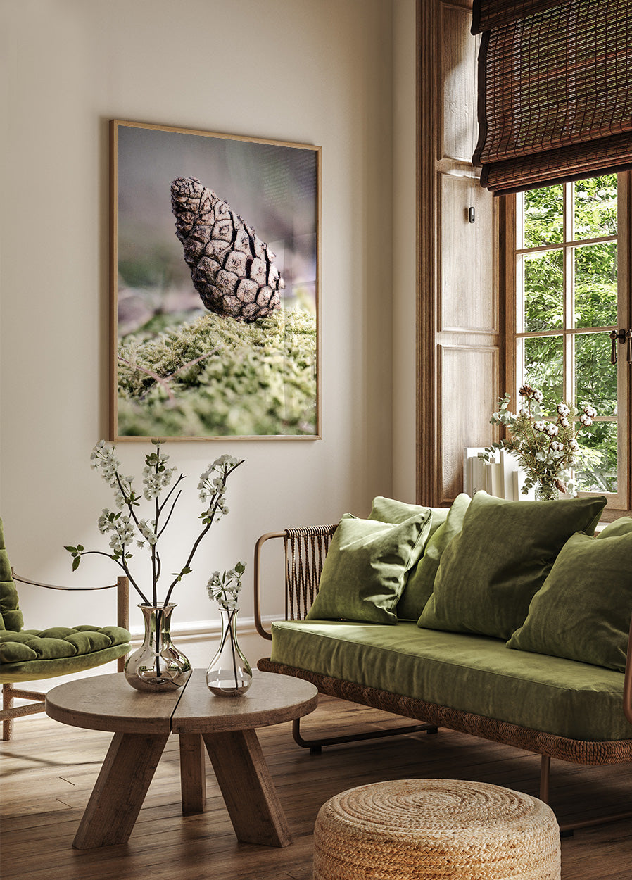 Tannenzapfen Poster - Posterbox.no