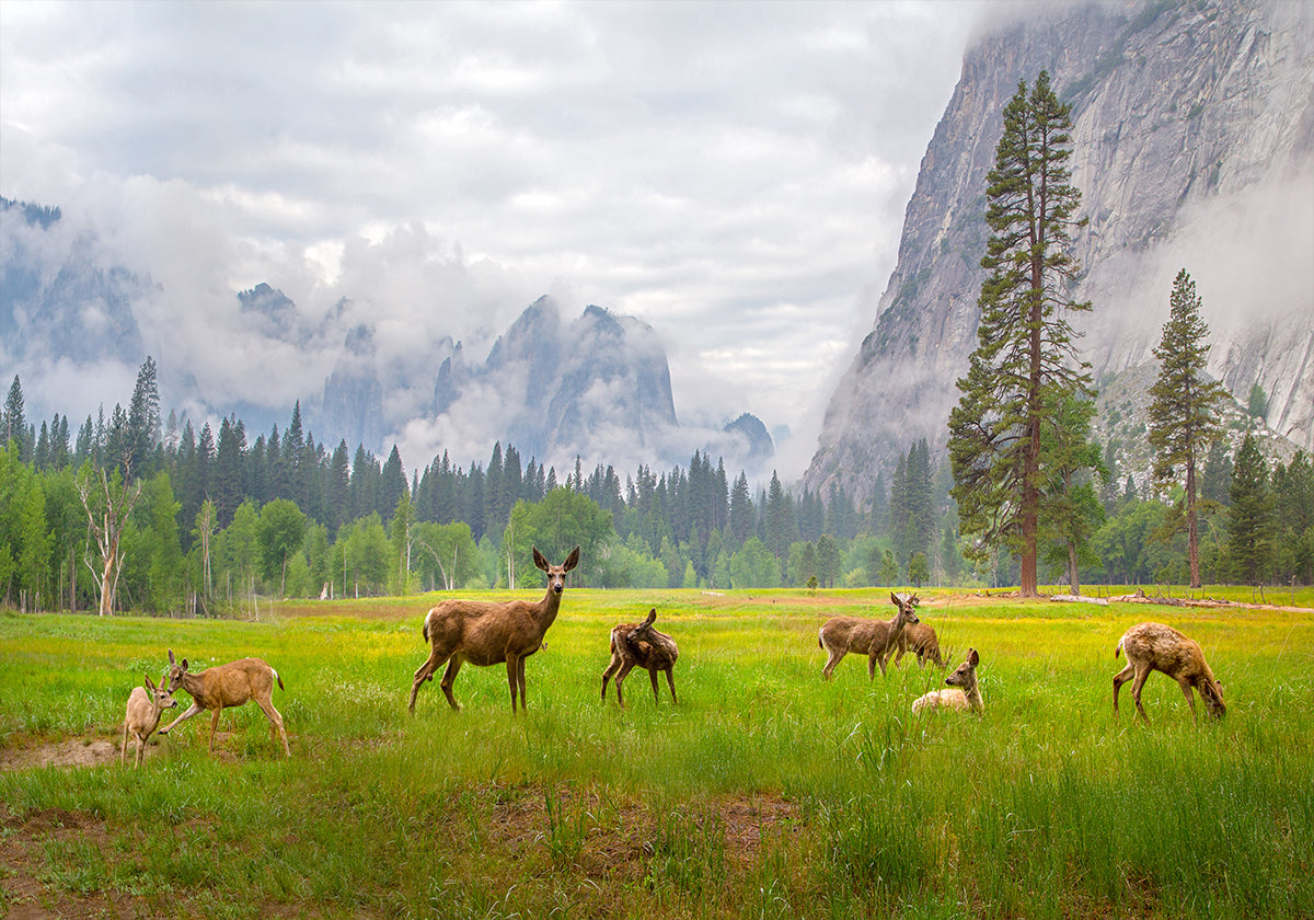 Ein Gefühl der Antike Poster
