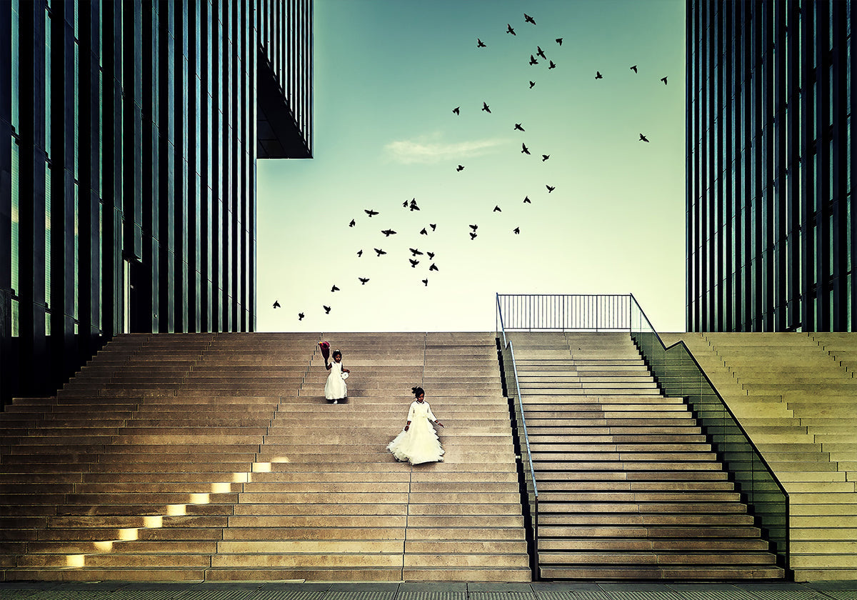 Frei wie ein Vogel...