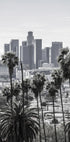 Los Angeles Poster - Posterbox.no