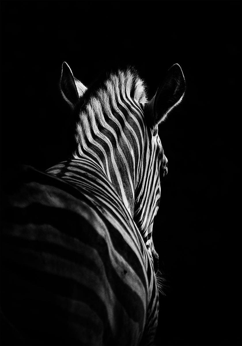 Poster „Rücktritt Nr. 6“.