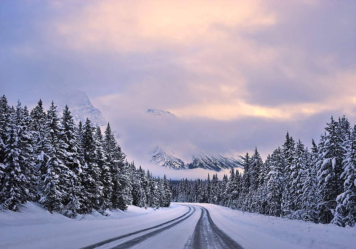 Zum Wunderland-Plakat