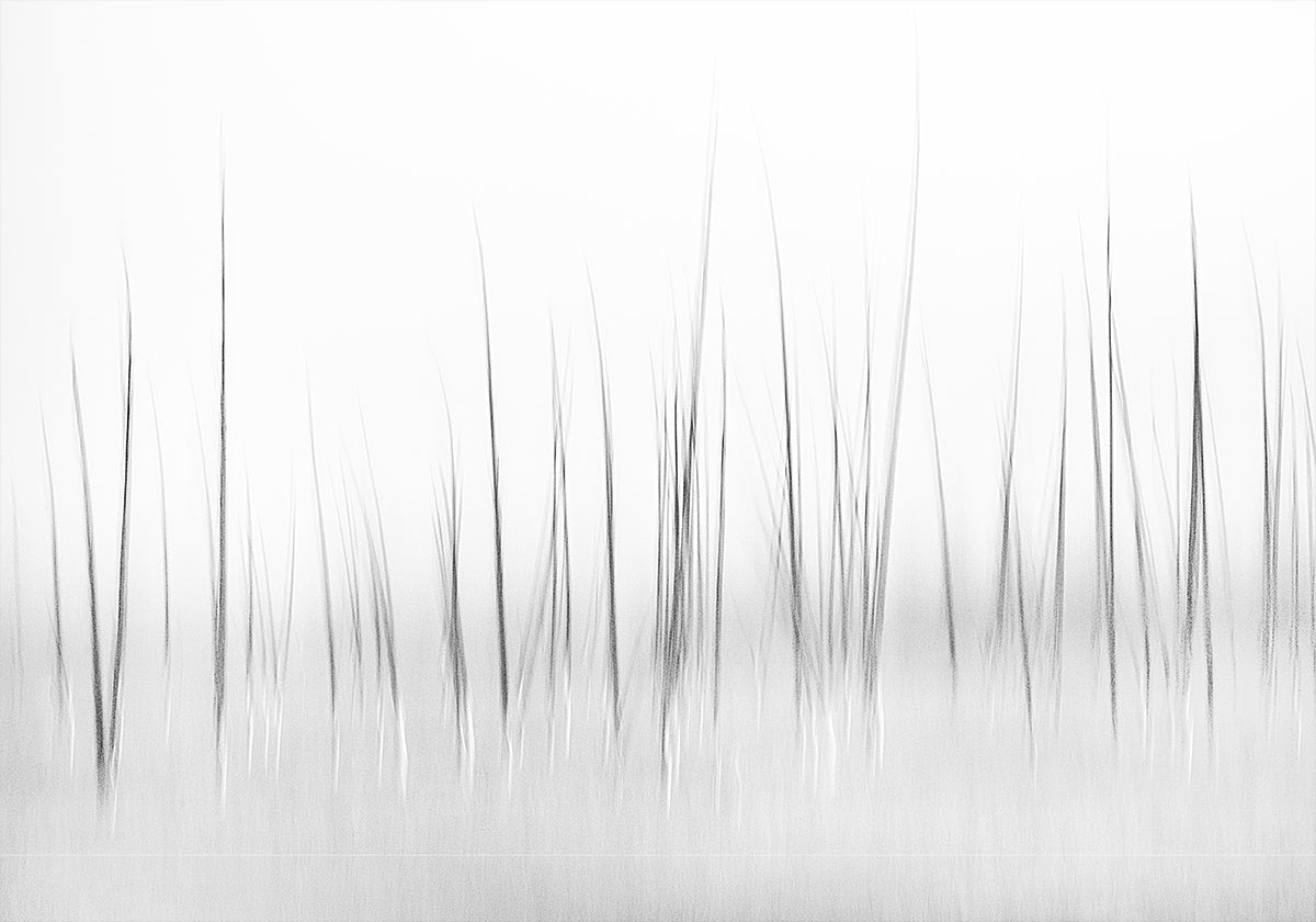 Winterliche Landschaft im Yellowstone