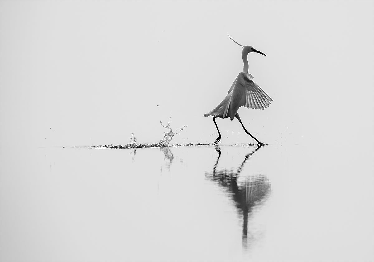 Poster „Tanzen auf dem Wasser“.