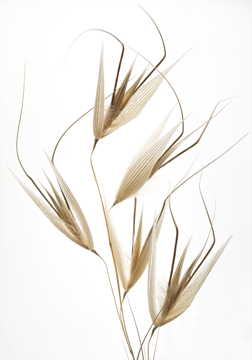 Delikatesse der Natur