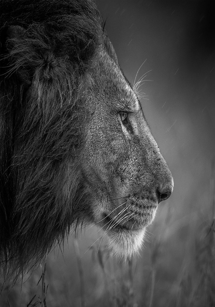 Denken unter dem Regen