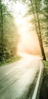 Nebel-Sonnenstrahl-Wald-Poster - Posterbox.no