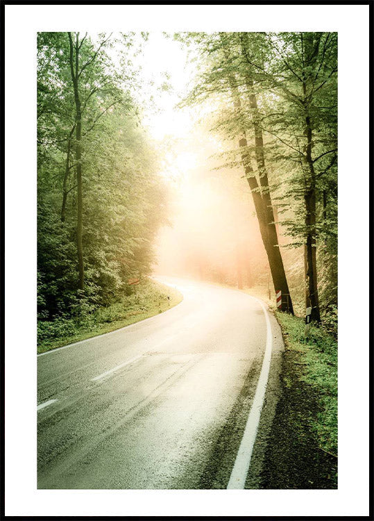 Nebel-Sonnenstrahl-Wald-Poster - Posterbox.no