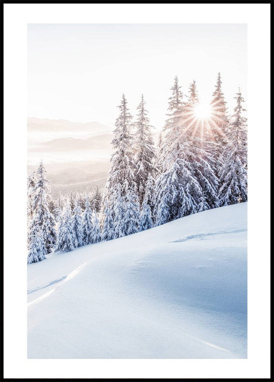 Winter-Sonnenaufgang-Poster - Posterbox.no