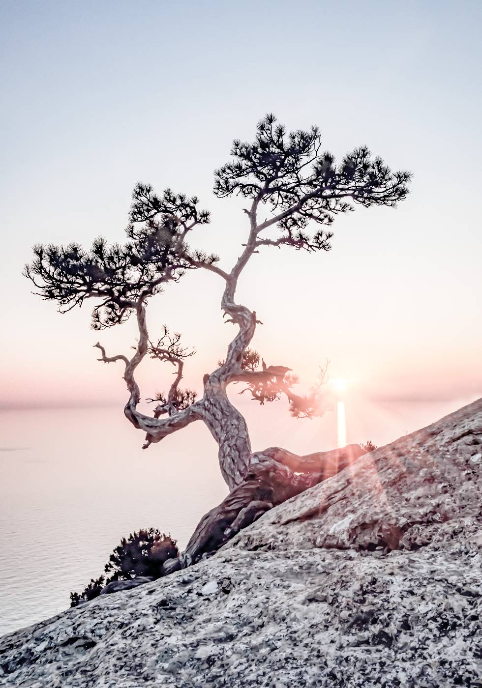 Poster „Morgensonne“ - Posterbox.no