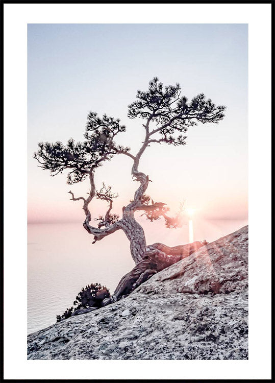 Poster „Morgensonne“ - Posterbox.no