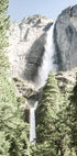 Yosemite Falls Poster - Posterbox.no