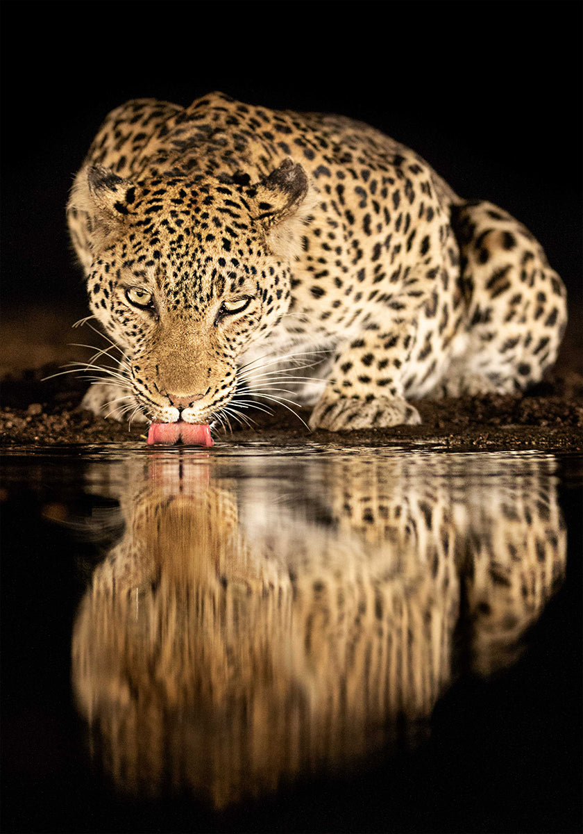 Poster für alleinerziehende Mutter