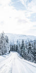Winter Norwegen Road Poster - Posterbox.no