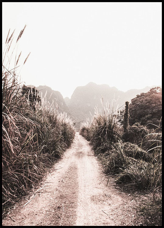 Dirt Road in Grass Fields Poster - Posterbox.no