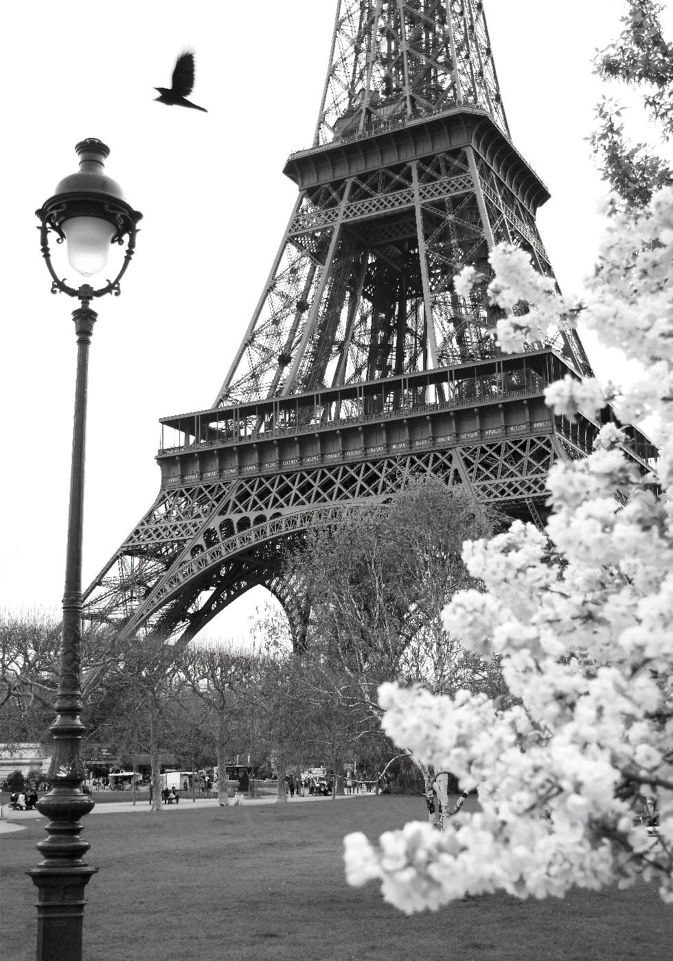 Straße von Paris Poster - Posterbox.no