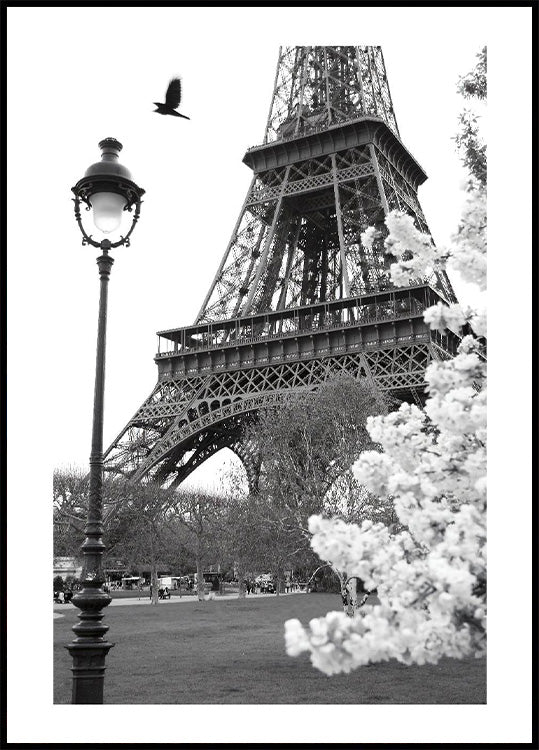 Straße von Paris Poster - Posterbox.no