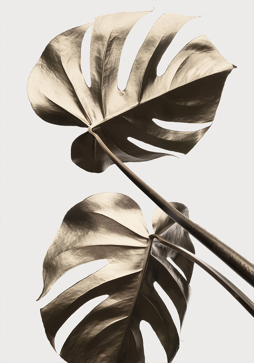 Monstera Gold 08 Poster