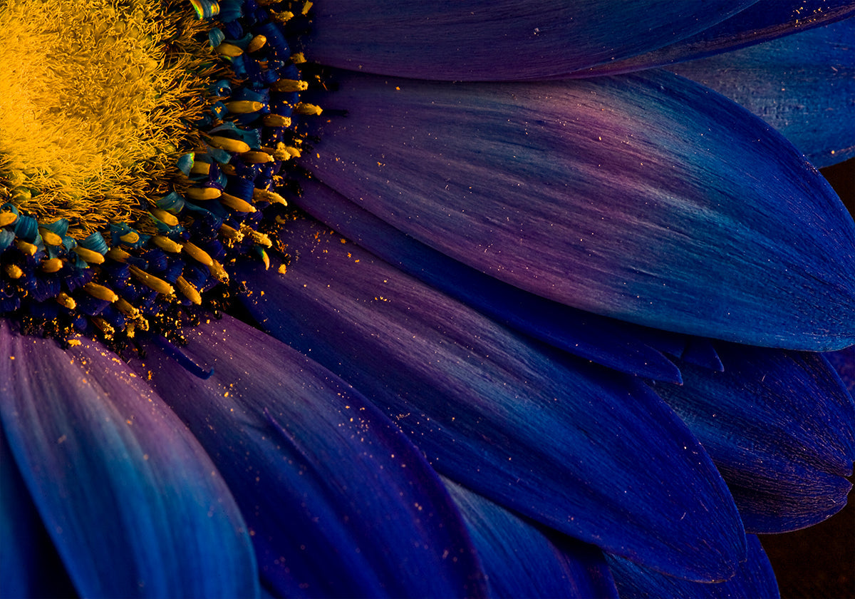 Blaue Strahlen-Poster