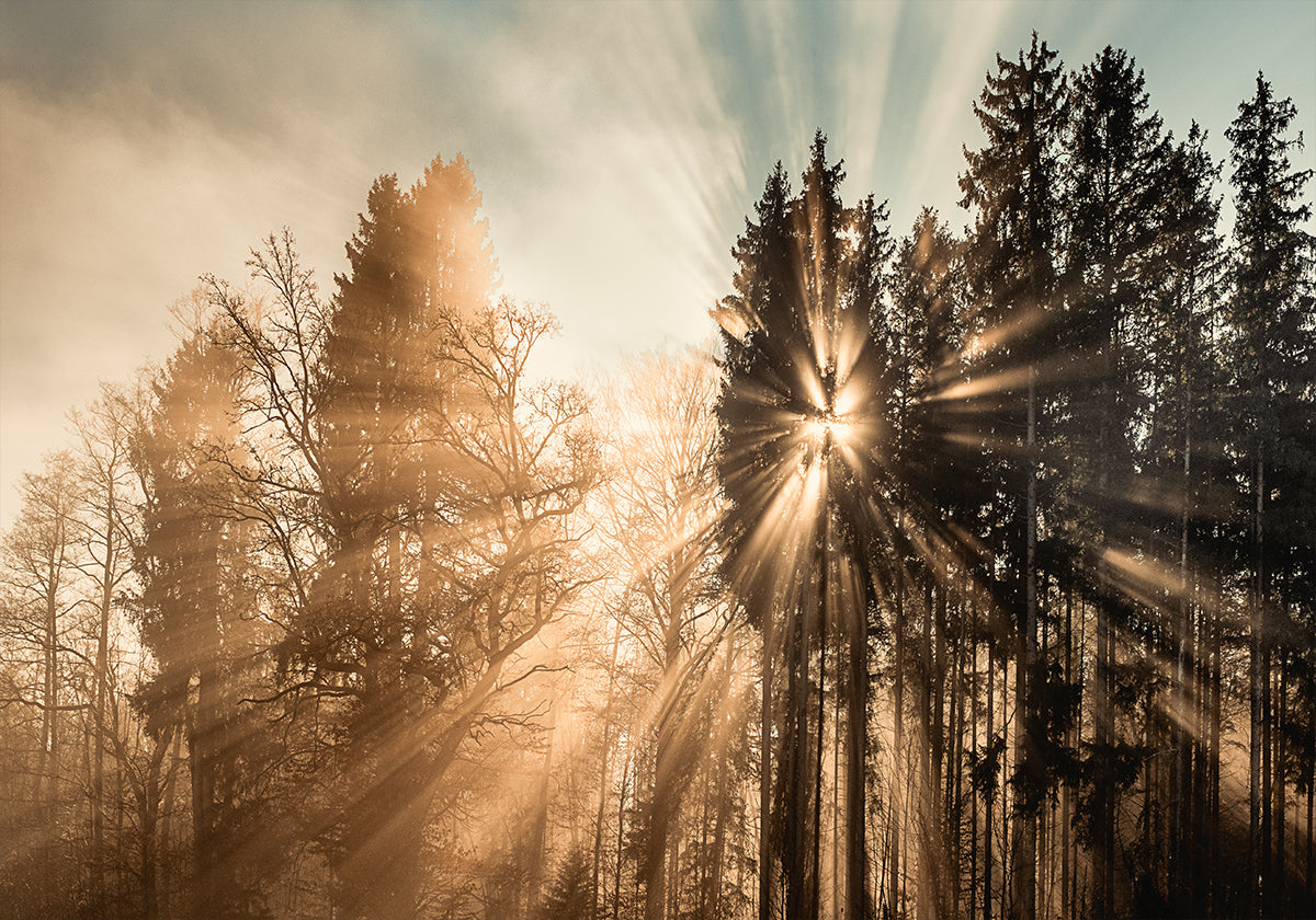 Verblassendes Poster