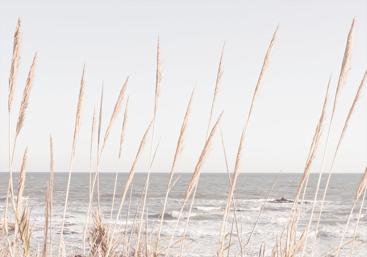 Beach_Vass_002 Poster