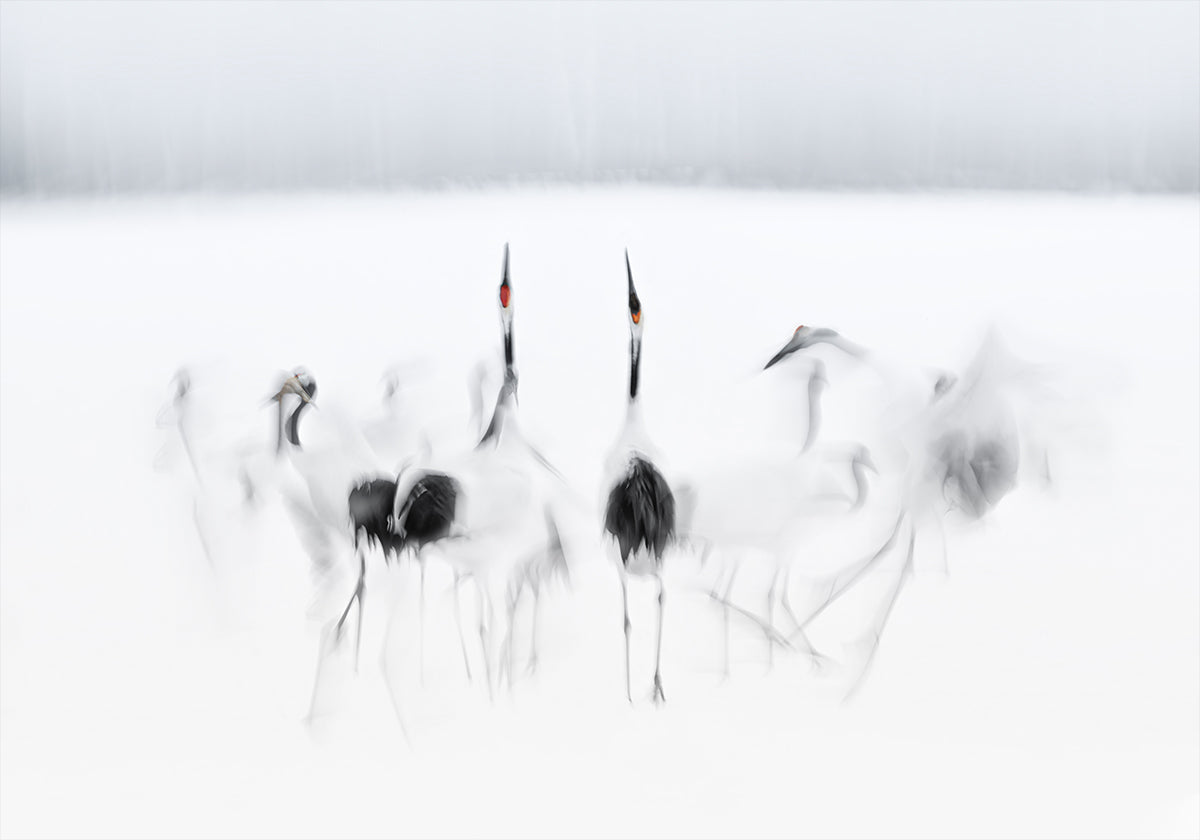 Kalligrafisches Ballett-Poster