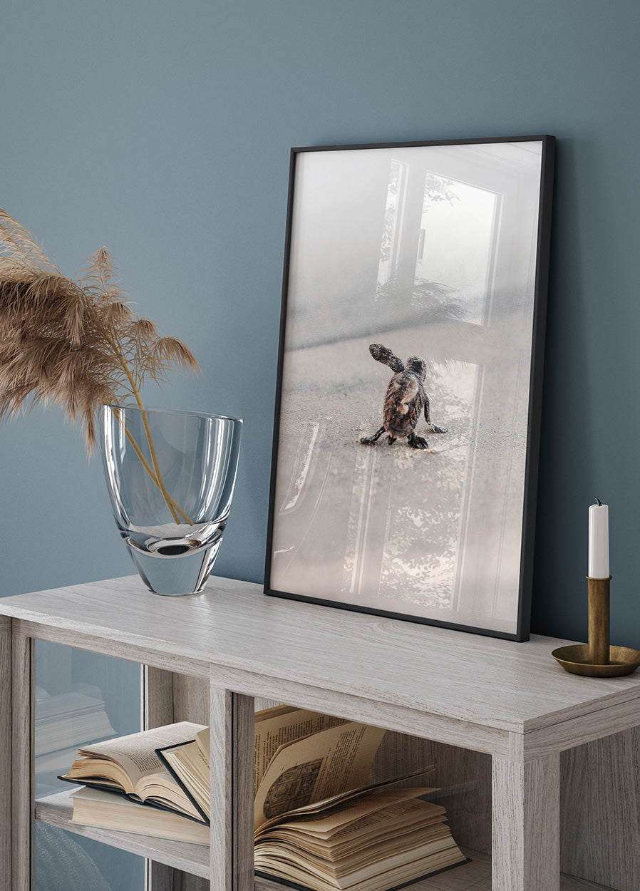 Poster „Neugeborene Meeresschildkröte verlässt das Nest“ – Posterbox.dk