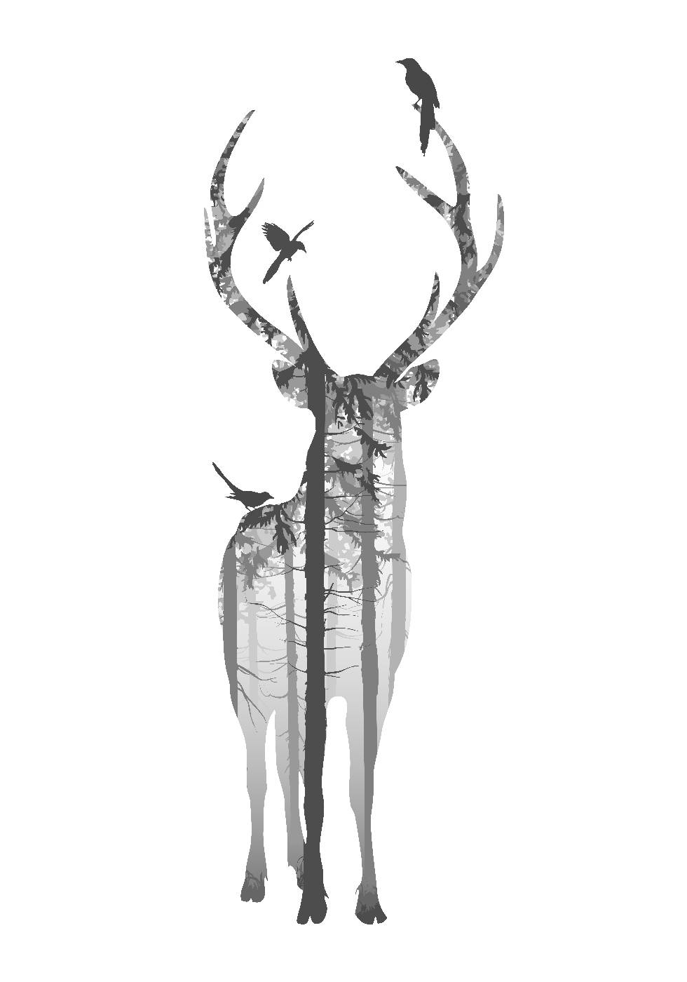 Poster Hirsche und Vögel - Posterbox.dk