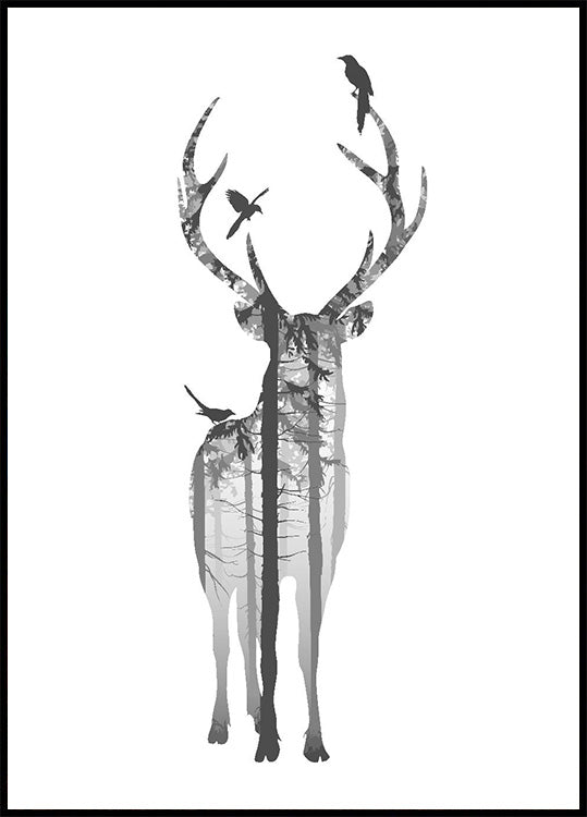 Poster Hirsche und Vögel - Posterbox.dk