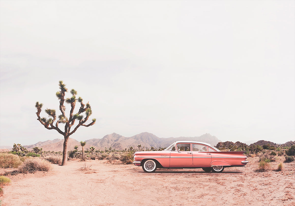 In der Wüste Poster