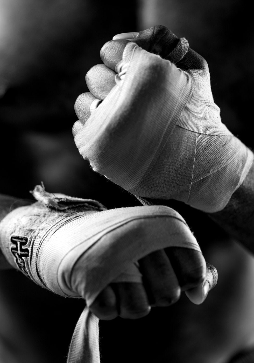 Ready to Fight Poster - Posterbox.no