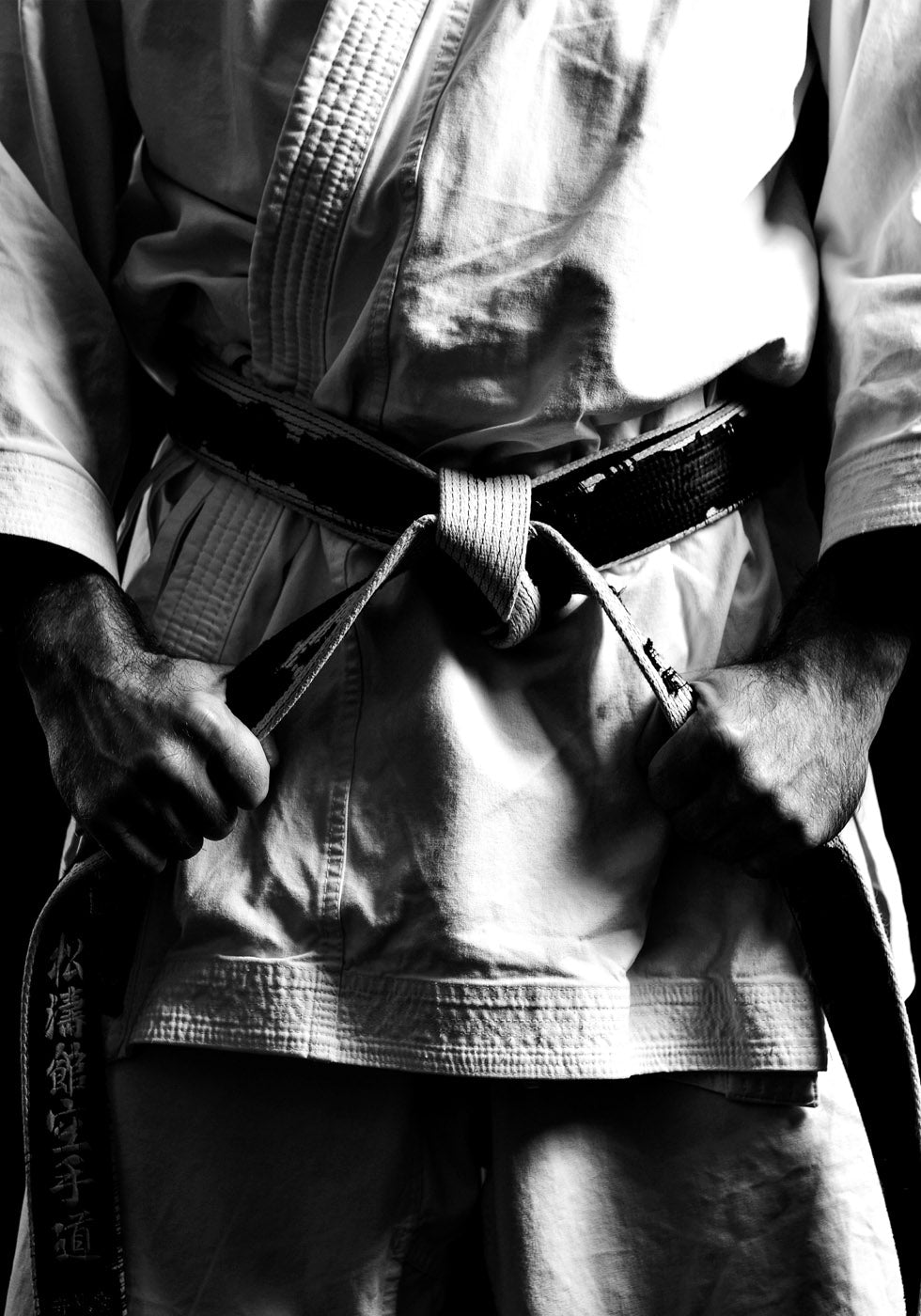 Kampfkunst-Poster - Posterbox.no