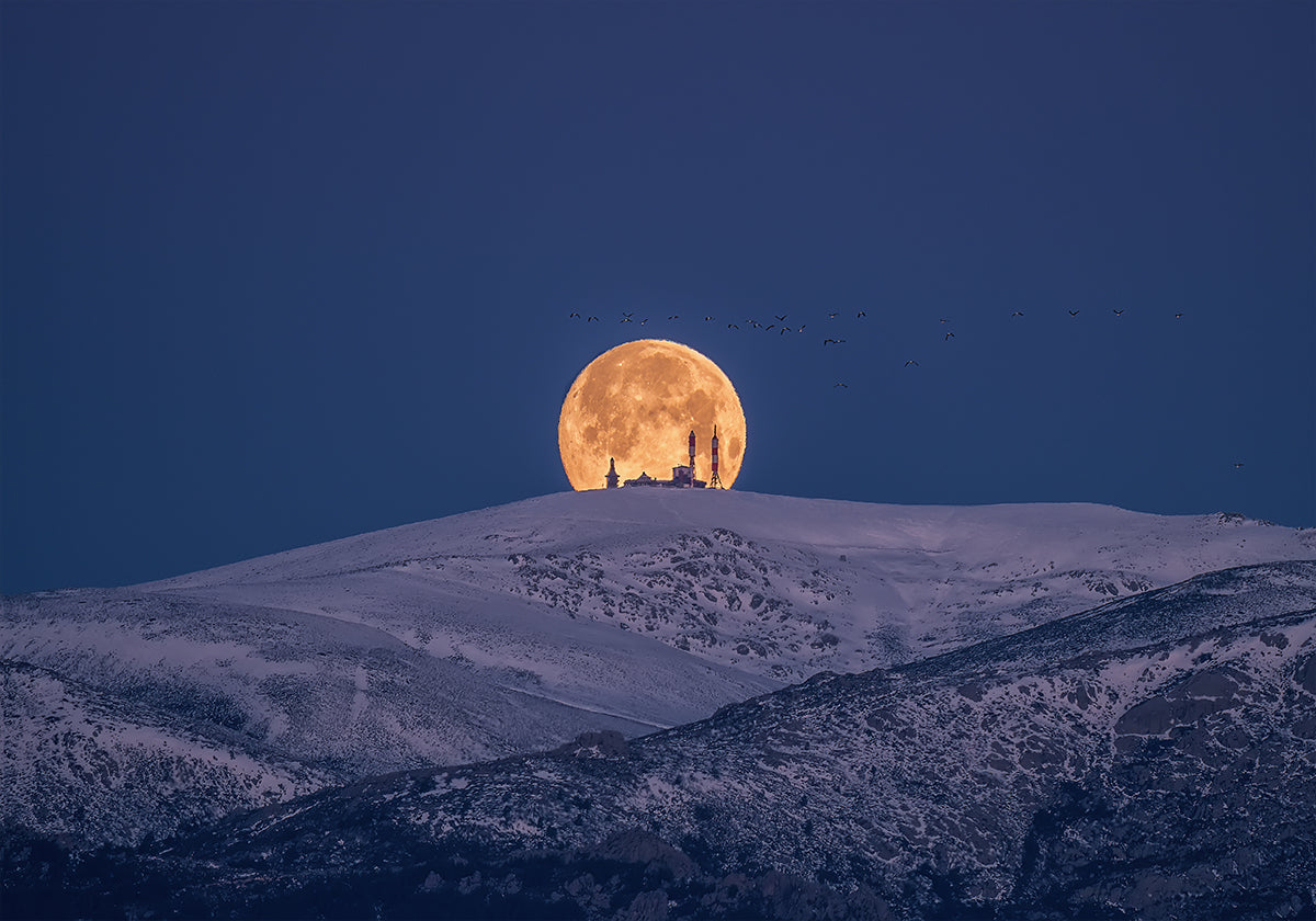 Schnee- und Mondplakat