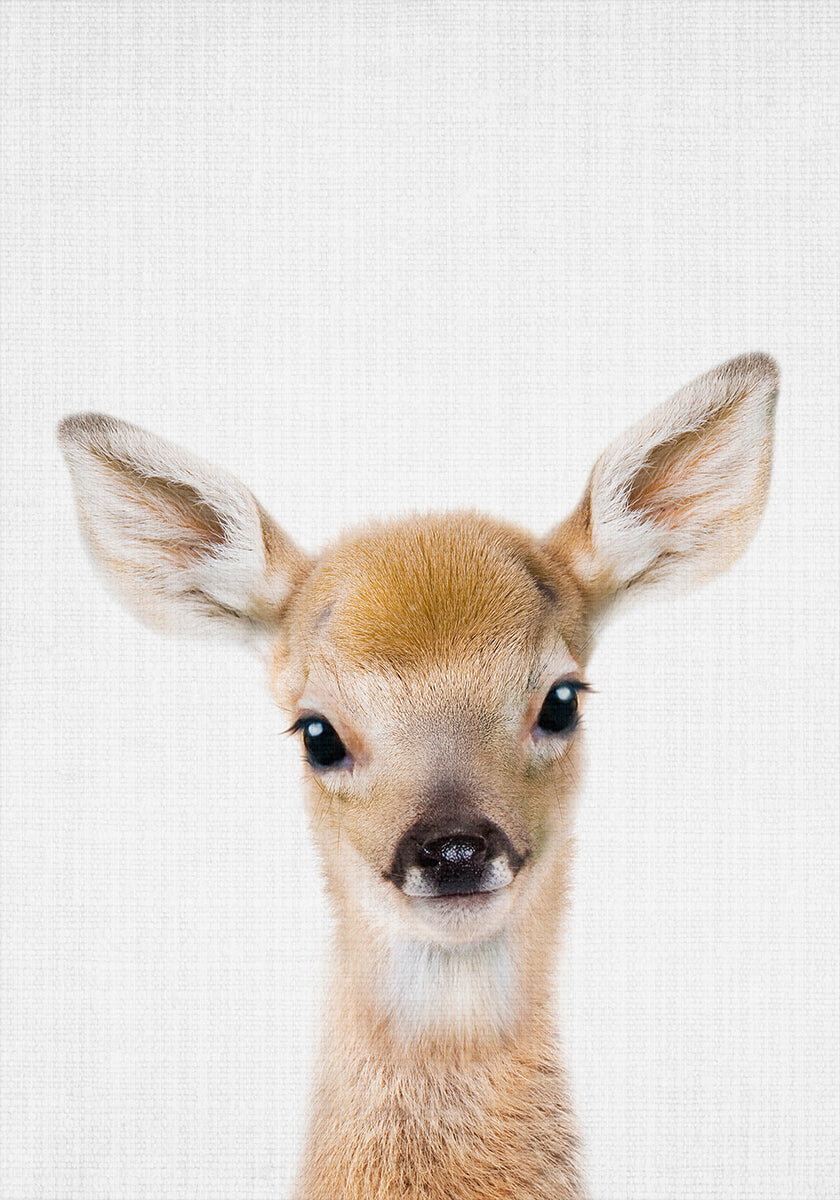 Peekaboo-Baby-Hirsch-Poster