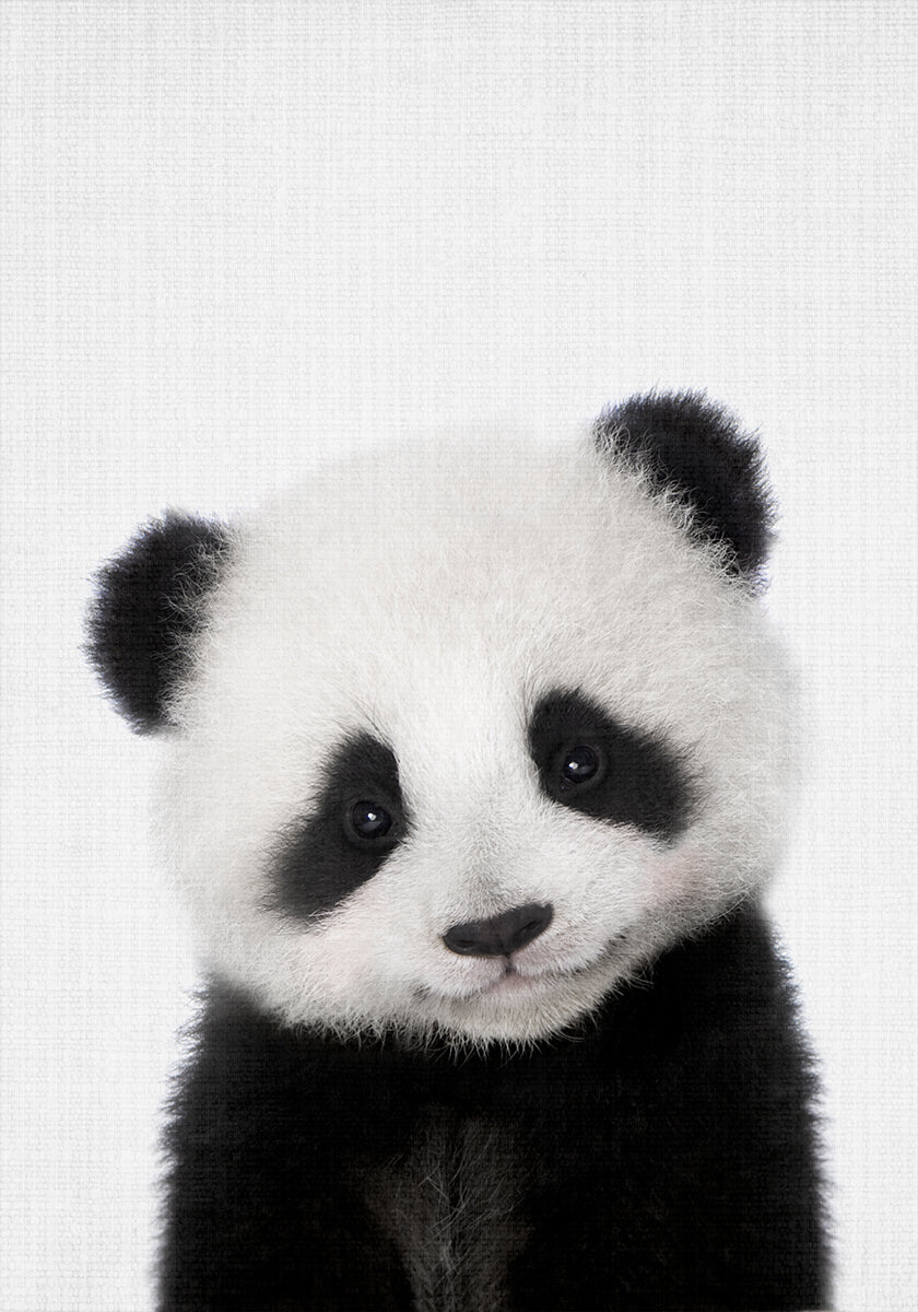 Peekaboo-Baby-Panda
