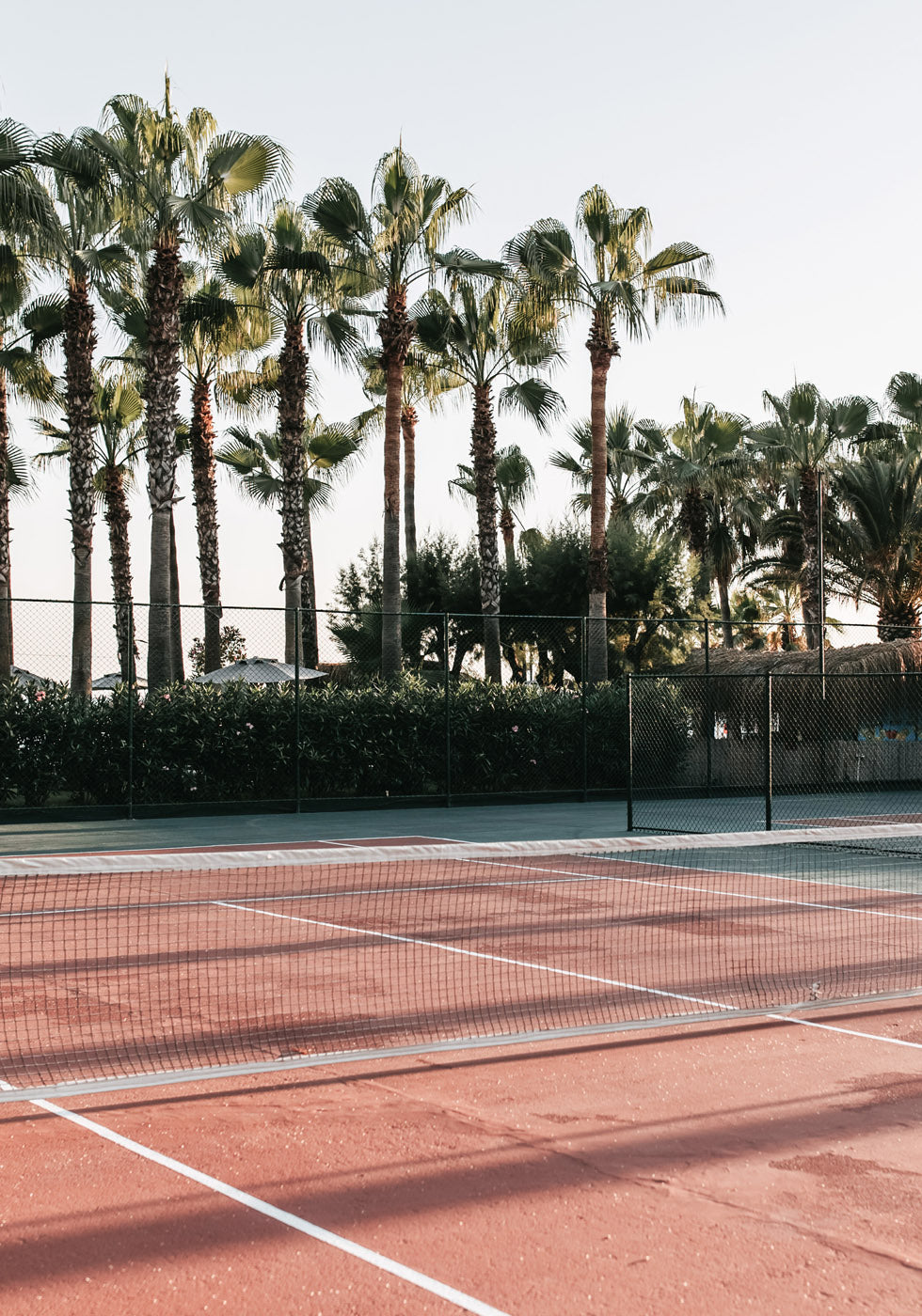 Tennisplatz-Poster - Posterbox.no