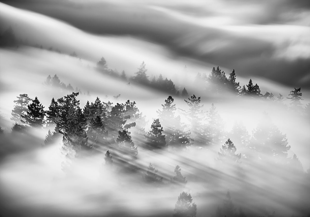 Flüstern durch den Nebel Poster