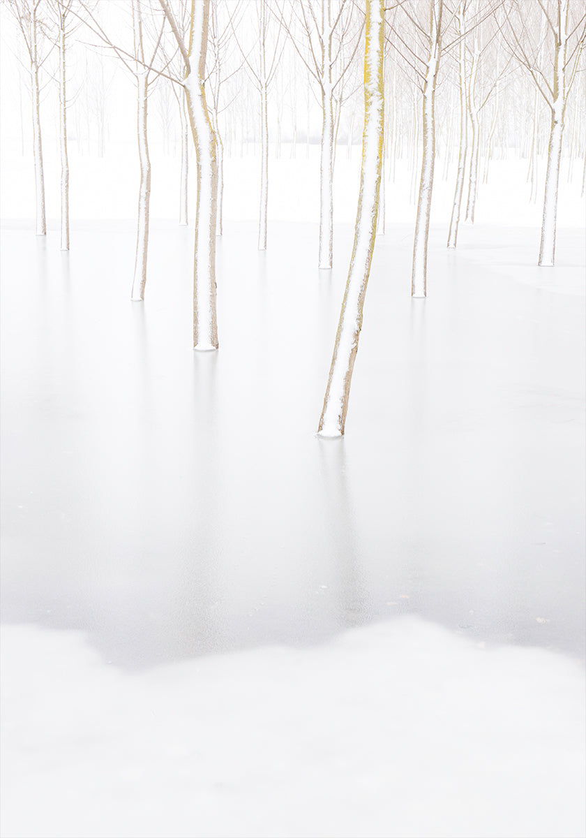 Winterreflexionsplakat