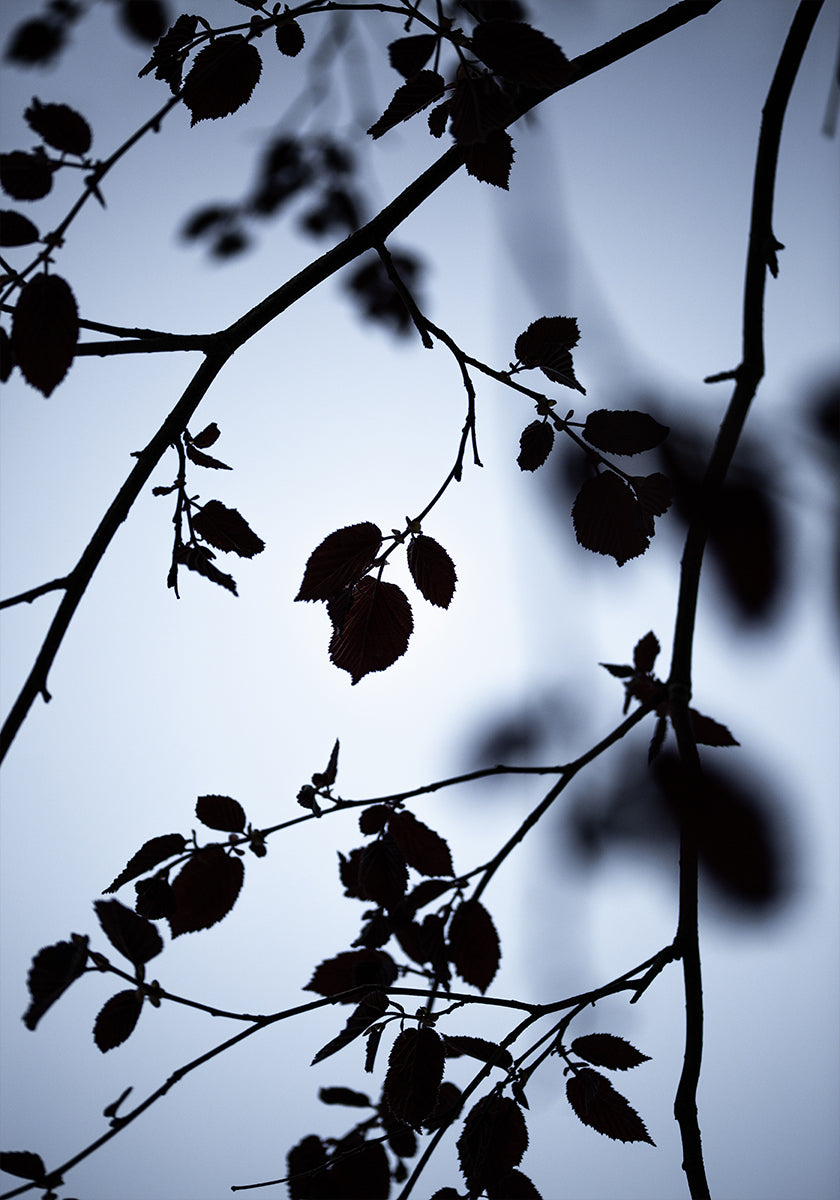 Anbruch der Morgendämmerung