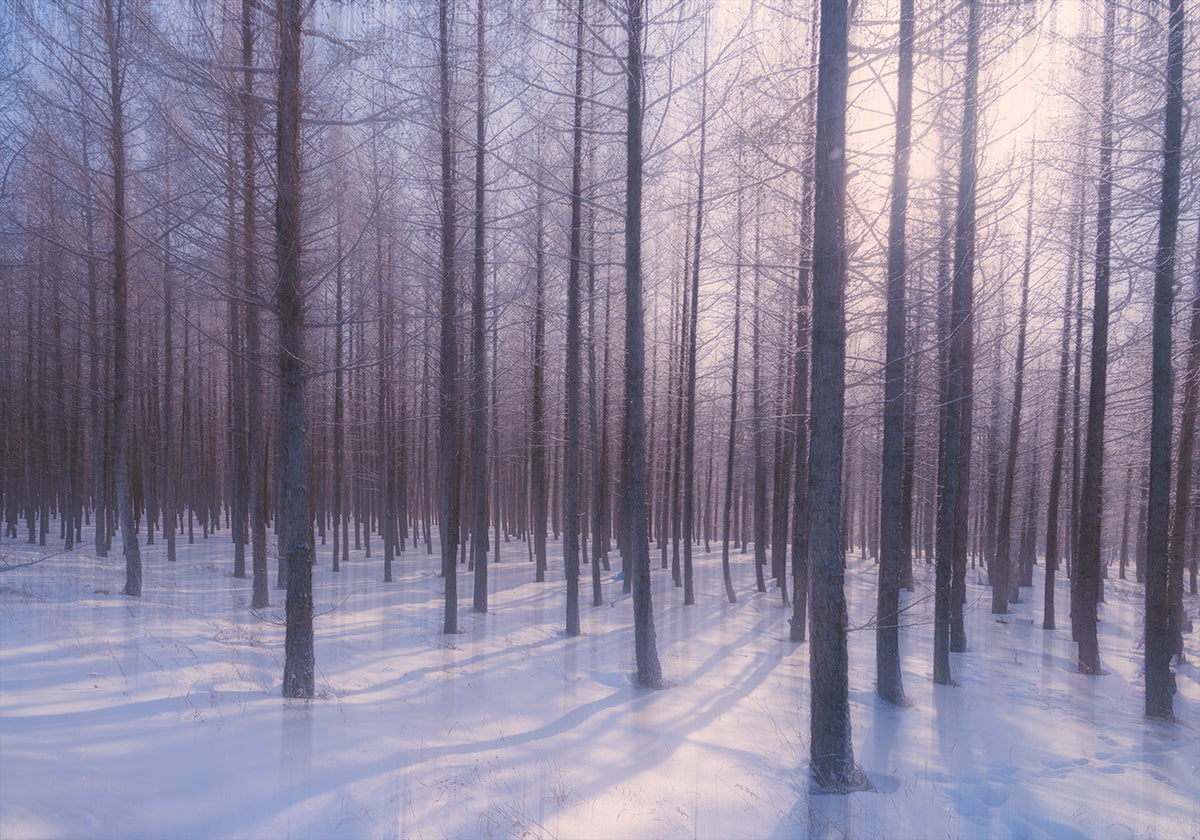 Stilles Wintersymphonie-Poster