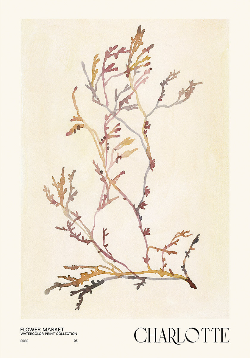 Sammlung von Aquarelldrucken. Blumenmarkt – Charlotte