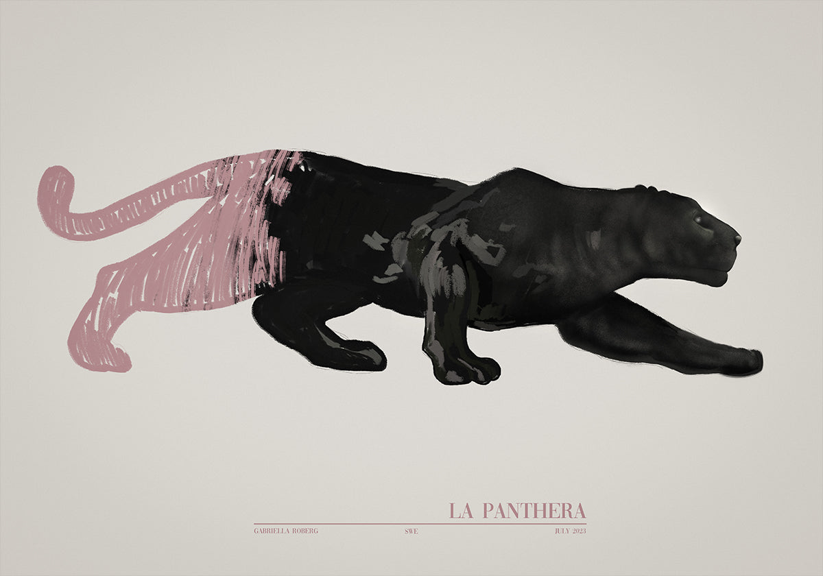 La Panthera (rosa)
