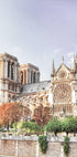 Notre-Dame-Seitenplakat - Posterbox.no