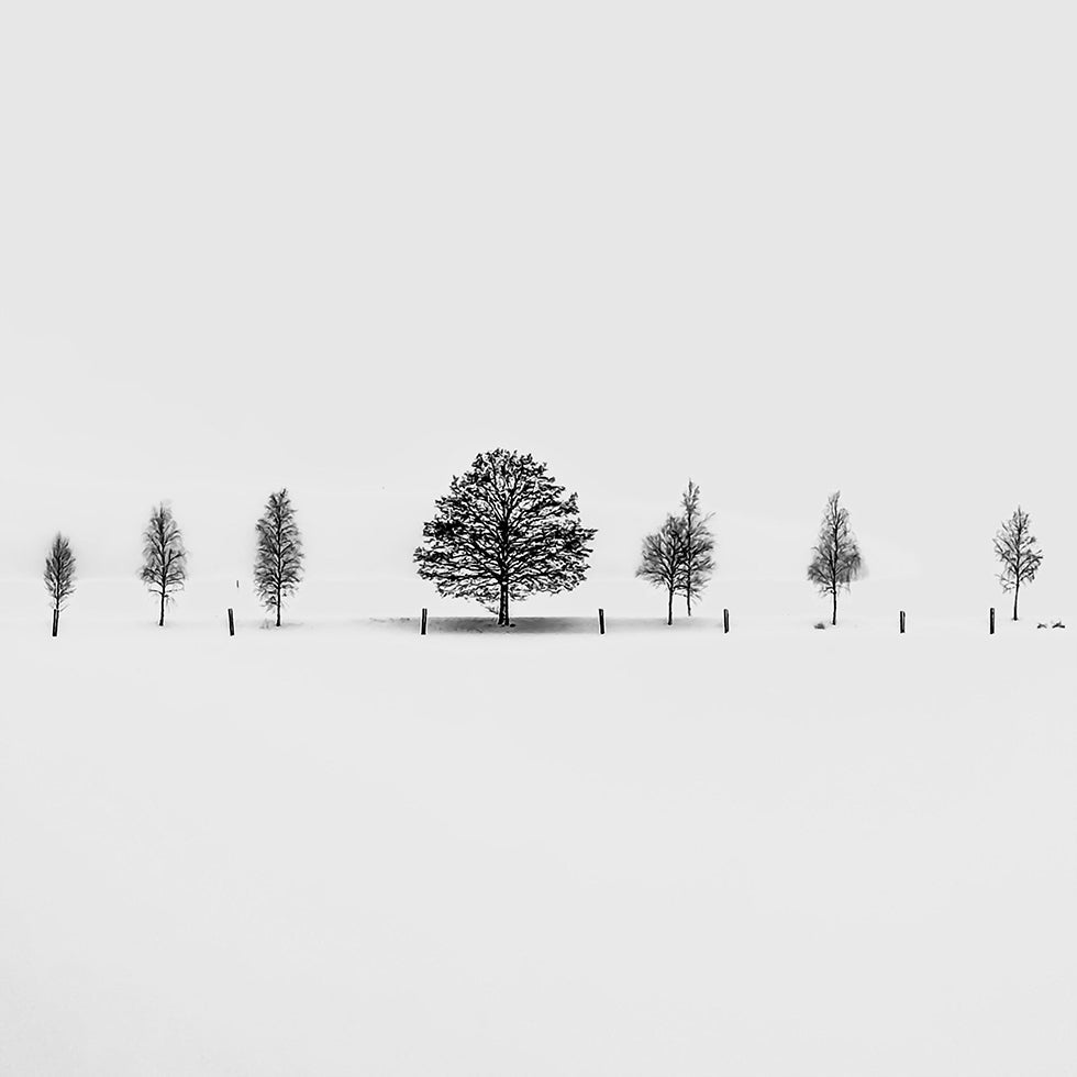 Gemeinsam allein Poster