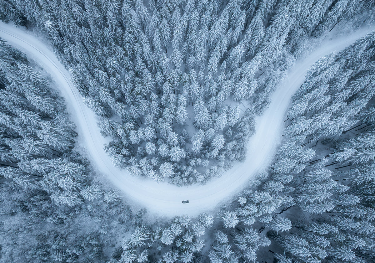 Verschneite Fahrt Poster