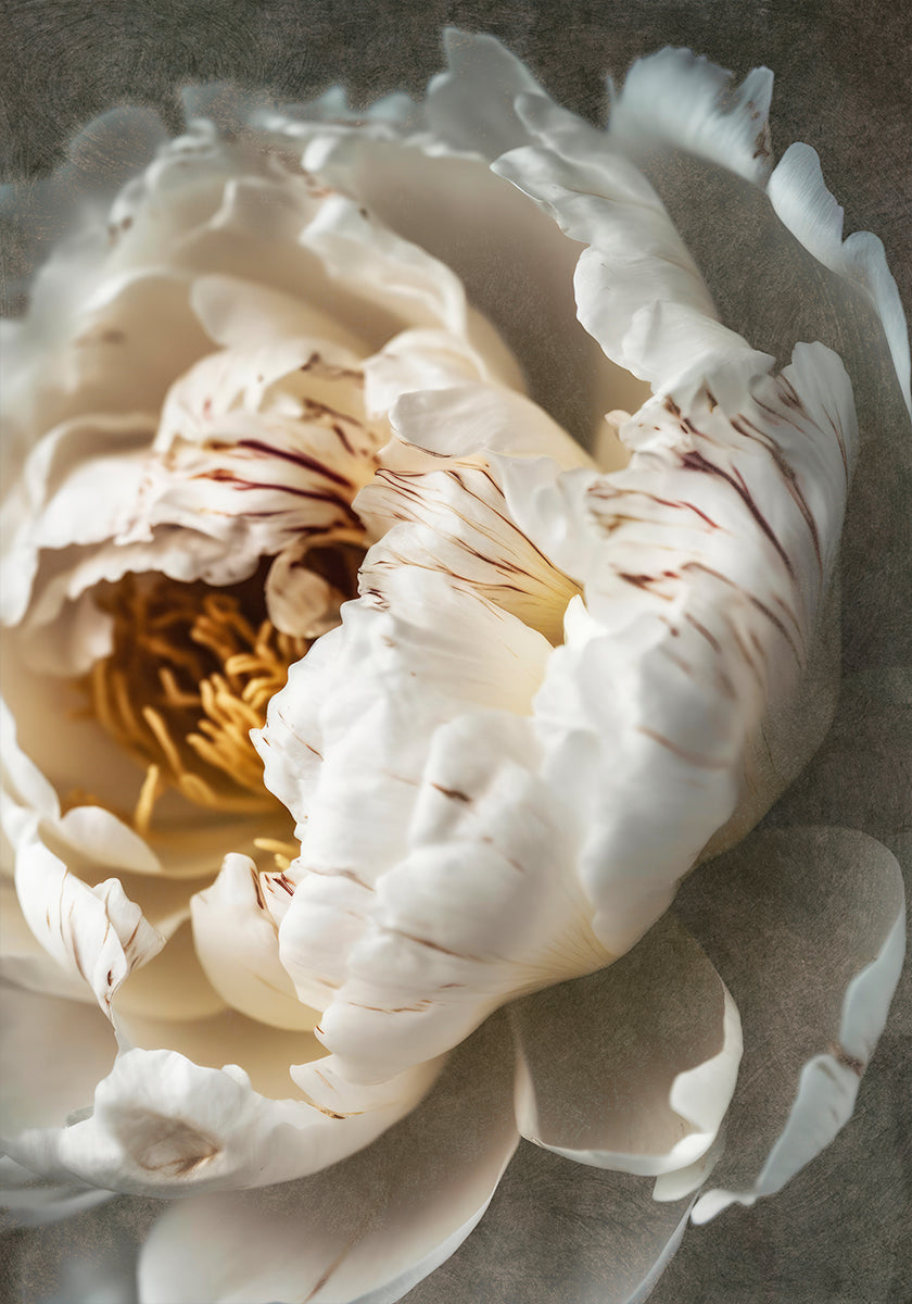 Blütenblätter der Gelassenheit