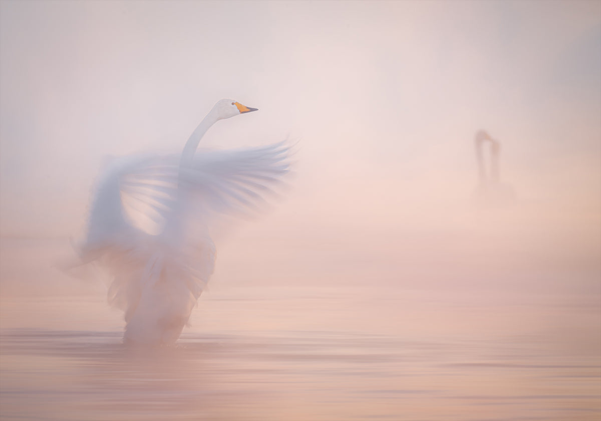 Die Vergänglichkeit der fernen Liebe... Poster
