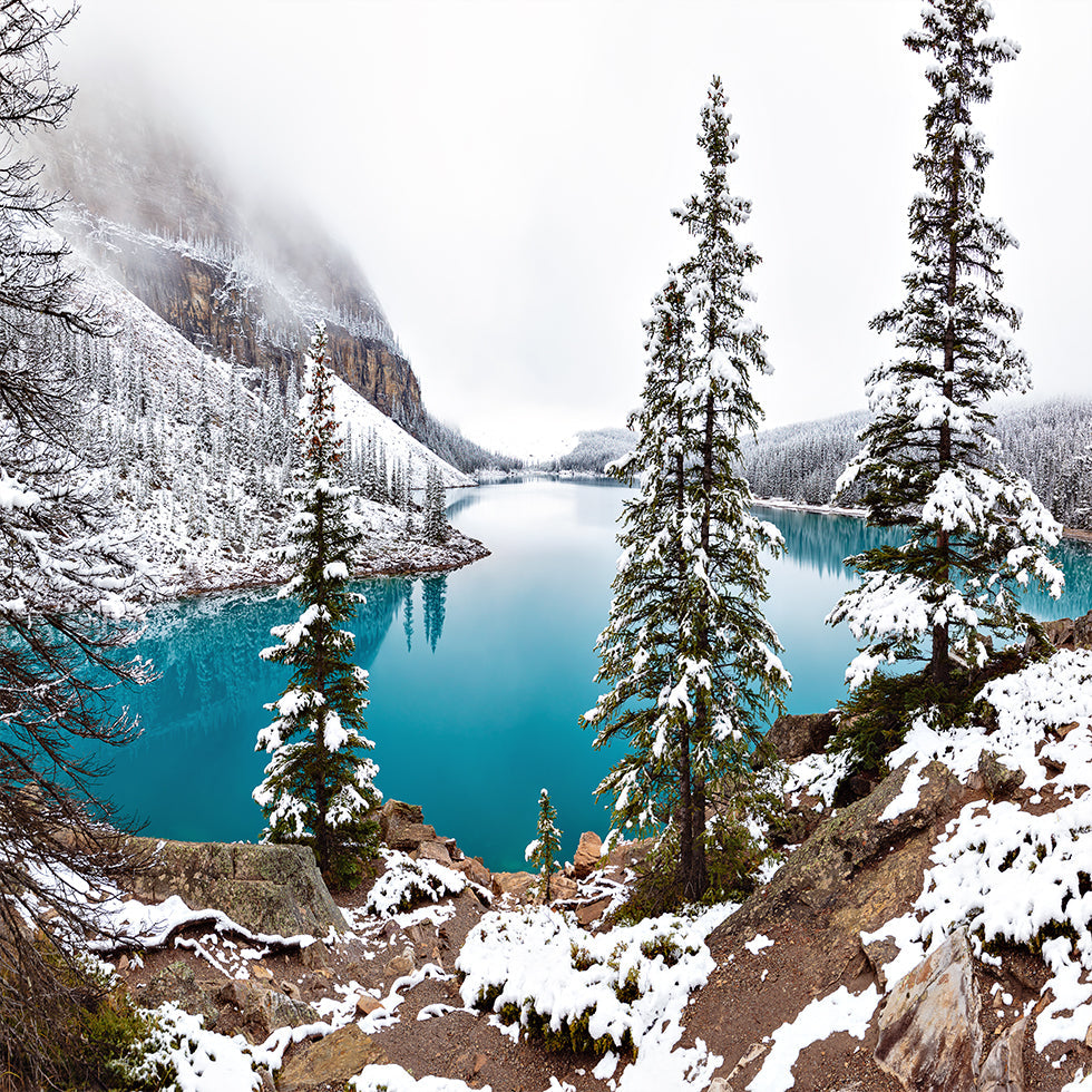 Schnee bei Moraine Poster