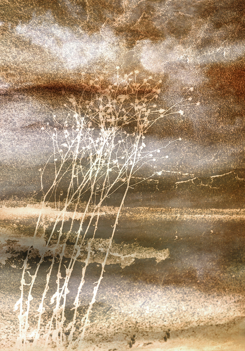 Getrocknete Träume Poster