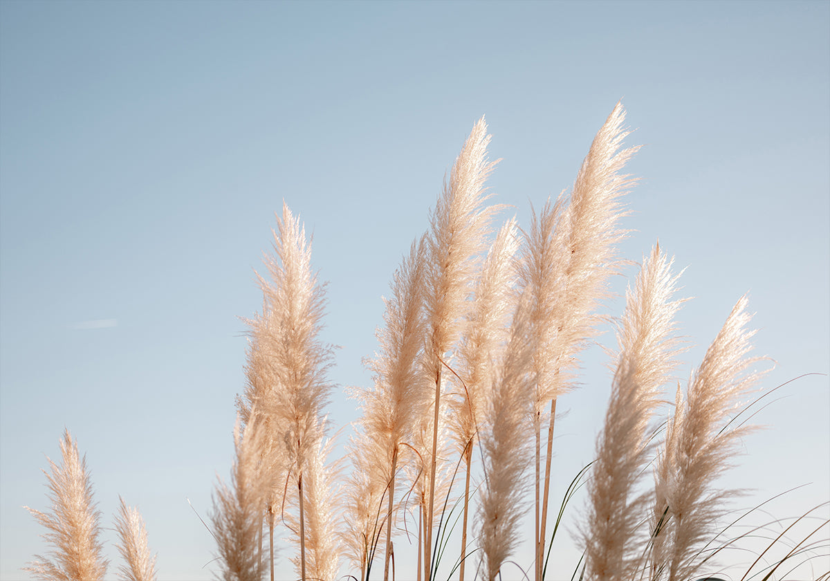 Winter in Portugal Poster